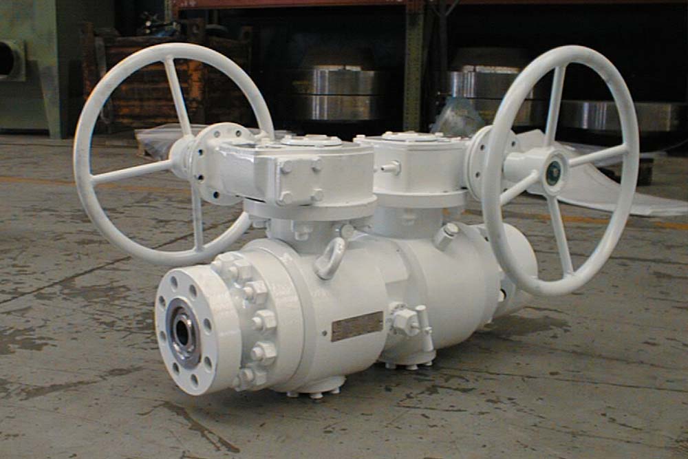 RDSP0 PRJN2318 23PB 1 04