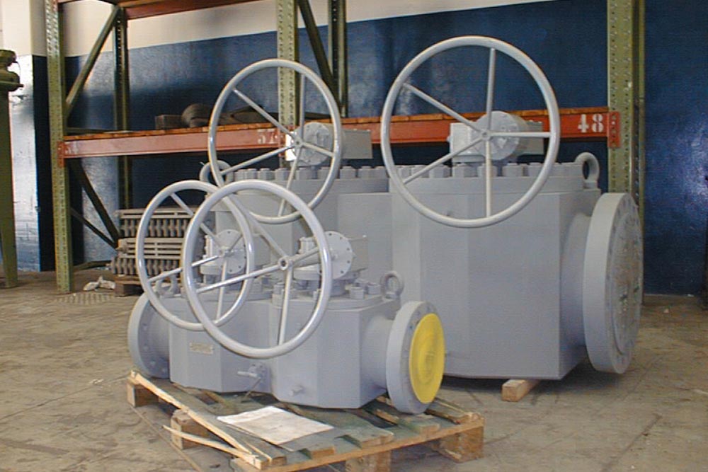 RDSP0 PRJN2318 23PB 2 04